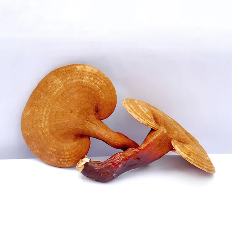 Pure Unadulterated Authentic Reishi Lingzhi Mushroom Powder