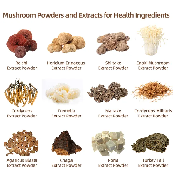 Ushroom Extract Blends – Synergistic, Pure and Scientifically