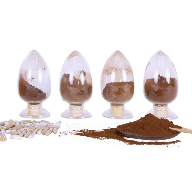 How is organic chaga mushroom powder different from regular chaga powder?