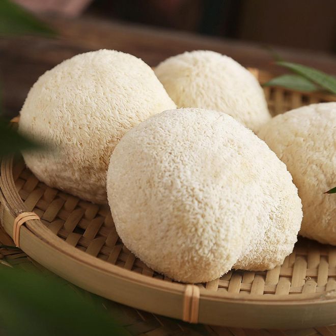 What are the primary uses of Hericium mushroom extract?