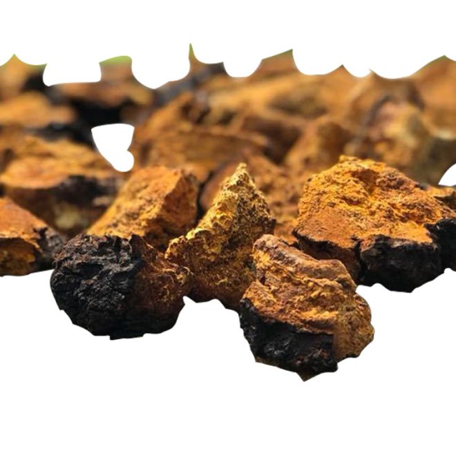 How do you store Chaga extract properly?
